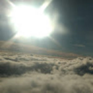 Meet your Posher, Frankie